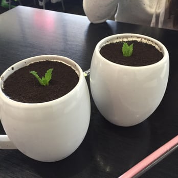 Looking For Chai Taiwanese Kitchen - Chocolate crumble milk tea (so cute! Looks like a little plant) - Taiwanese Near Me - Edmonds, Washington