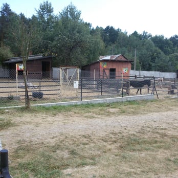 Wioska Pod Kogutem - Horseback Riding Near Me - Krępa, MZ