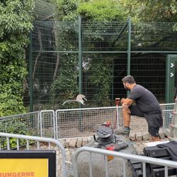 Zoologisk Have - Lemur!