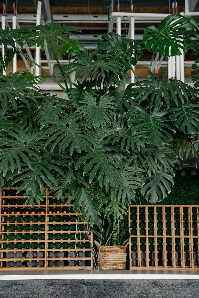 The Plant - wedding in Jackson, MS