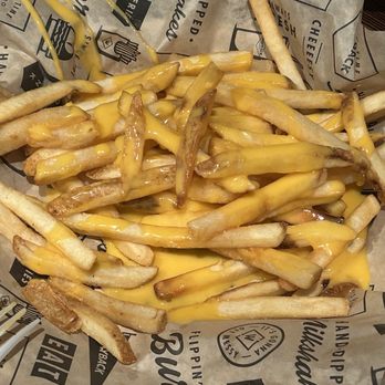 Wayback Burgers - Super cheesy cheesy fries - Burgers Near Me - Darien, Illinois