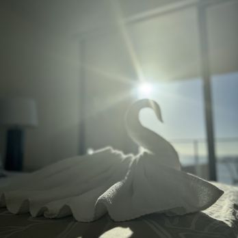 Luxury Phoenix Cleaning - Home Cleaning Near Me - Lahaina, Hawaii
