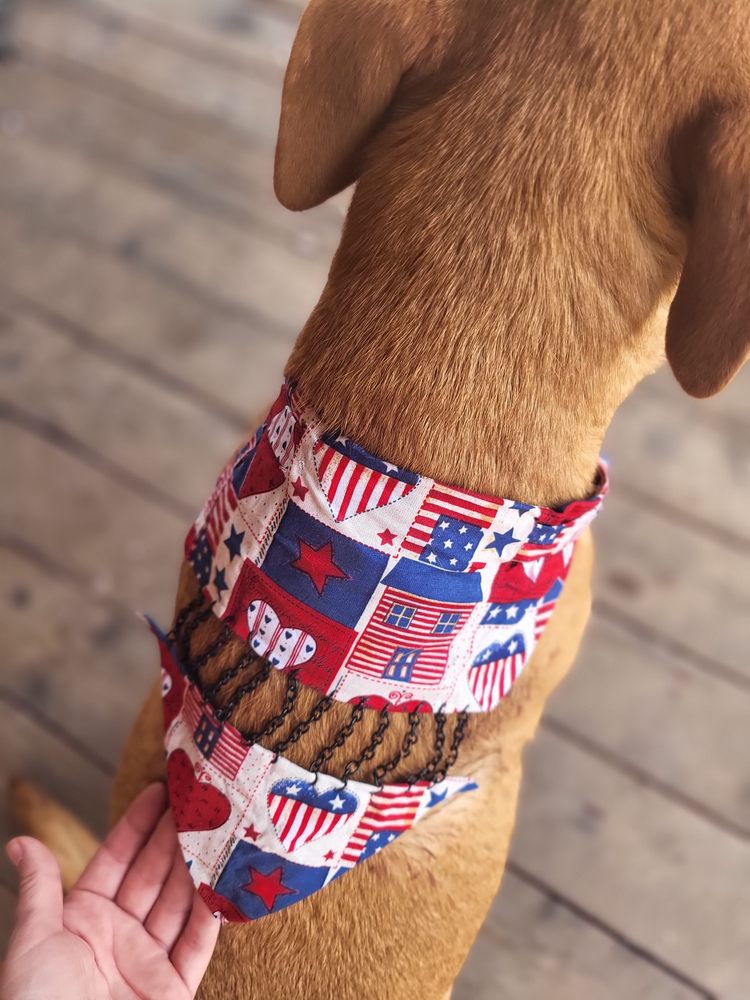 BOARD PETS Request a Quote 31 Photos 1113 S Burke St, Visalia