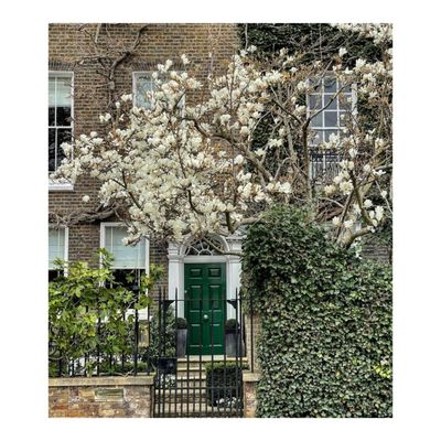 The Pilgrm Hotel Paddington by null