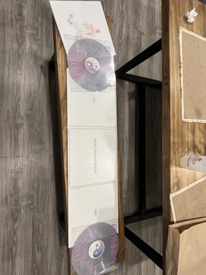 Spinster Records by null