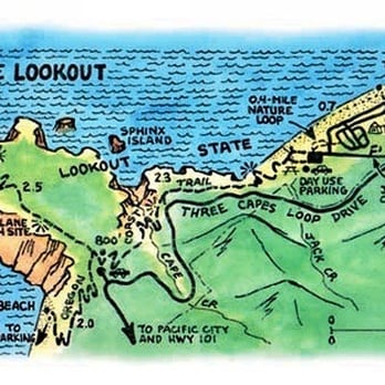 Cape Lookout State Park - They have a few excellent trails to choose from. - Parks Near Me - Tillamook, Oregon