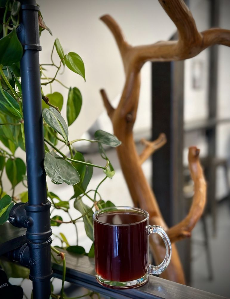 Single Speed Coffee Roasters