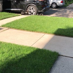 TruGreen Lawn Care - my lawn before trugreen, only me taking care of my lawn