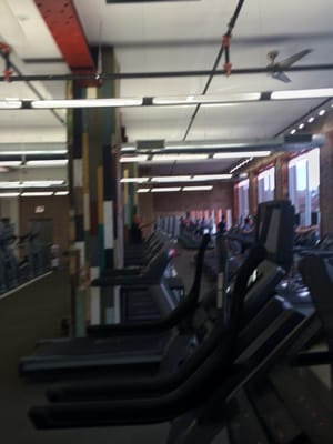 Bucktown Athletic Club by null