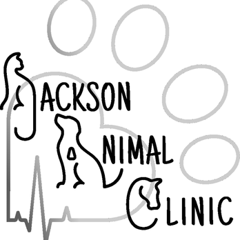 Jackson Animal Clinic - Veterinarians Near Me - Platte City, Missouri Jackson Animal Clinic - Veterinarians Near Me - Platte City, Missouri