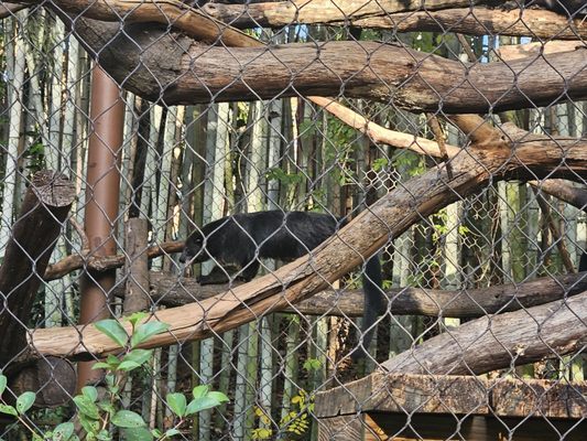 Zoo Atlanta by null