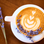 Photo of Black Oak Coffee Roasters