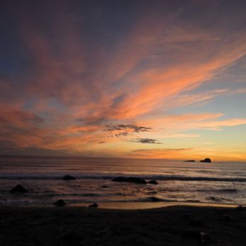 Elephant Seal Vista Point - Beaches Near Me - San Simeon, California Elephant Seal Vista Point - Beaches Near Me - San Simeon, California