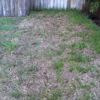 Sod X - Sod x work, this is tje new sod - Landscaping Near Me - Valrico, Florida