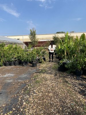 DOAN’S NURSERY - 102 Photos & 30 Reviews - 622 S Belt Line Rd, Irving