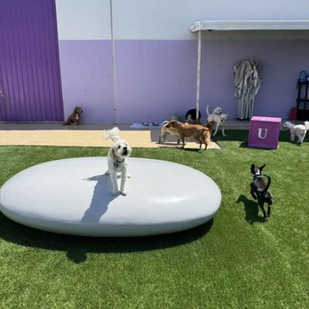 Dog Den - Pet Groomers Near Me - Anaheim, California Dog Den - Pet Groomers Near Me - Anaheim, California