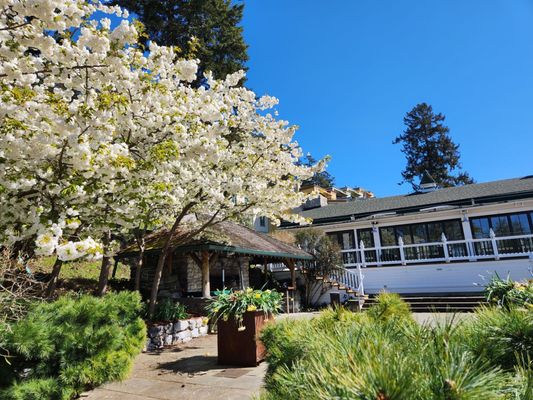 Roche Harbor Resort by null