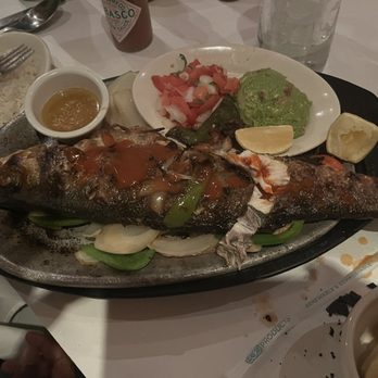Lauriol Plaza - Branzino (whole fish) - Mexican Near Me - Washington, DC, District of Columbia Lauriol Plaza - Branzino (whole fish) - Mexican Near Me - Washington, DC, District of Columbia