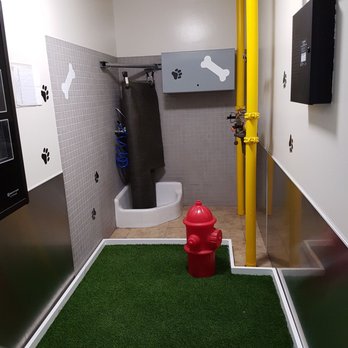 Southwest Airlines - Pet Relief Area In Southwest Terminal A4 - Airlines Near Me - Burbank, California Southwest Airlines - Pet Relief Area In Southwest Terminal A4 - Airlines Near Me - Burbank, California