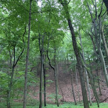Saugatuck Dune Rides - Tours Near Me - Saugatuck, Michigan Saugatuck Dune Rides - Tours Near Me - Saugatuck, Michigan