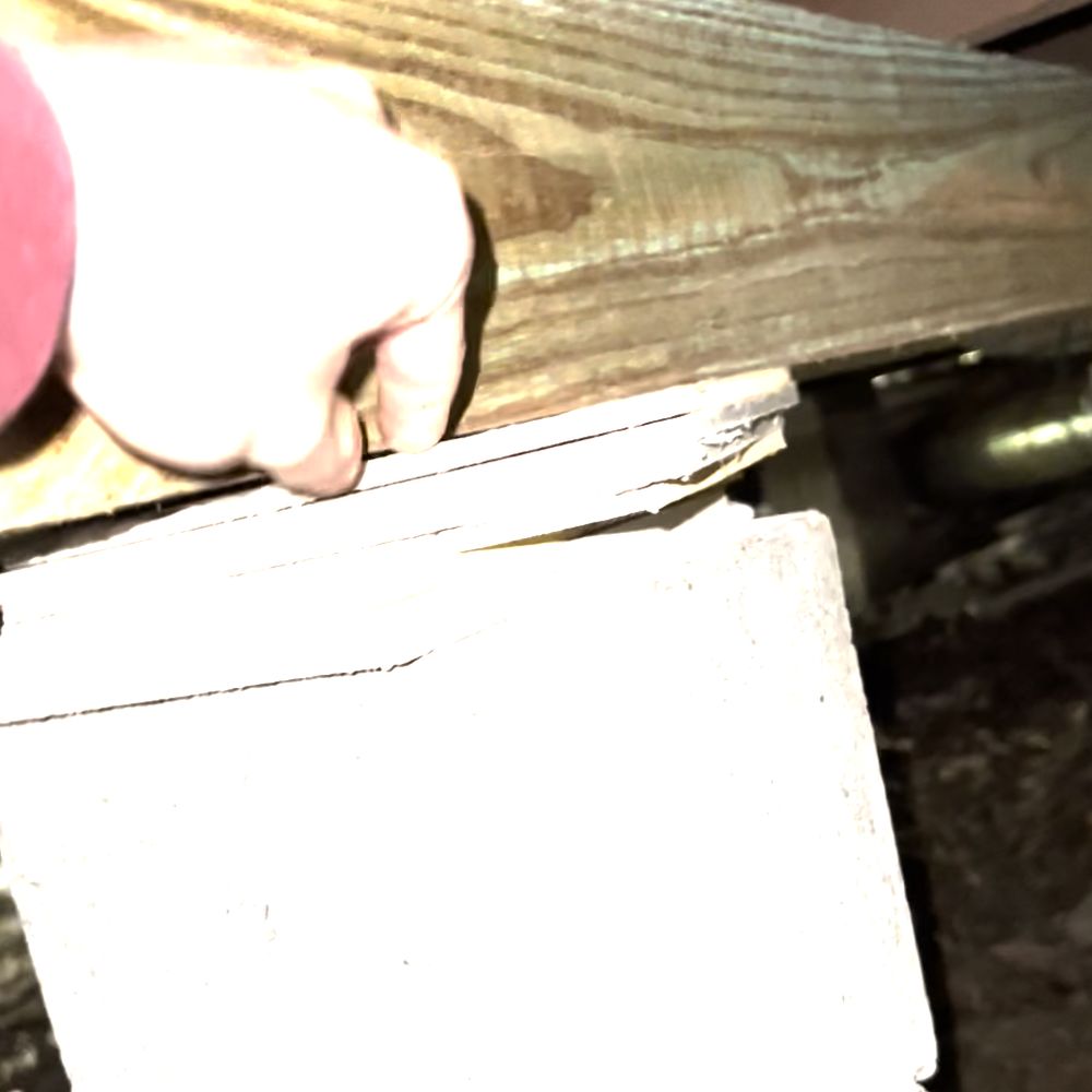 Southern Elevations and Shoring - The shims they put between post and floor can be pulled out by hand - General Contractors Near Me Southern Elevations and Shoring - The shims they put between post and floor can be pulled out by hand - General Contractors Near Me
