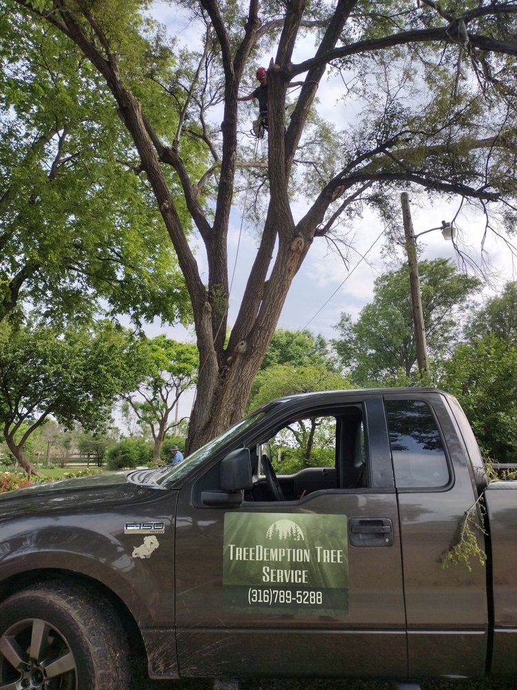 Treedemption Tree Service - tree service in Wichita, KS
