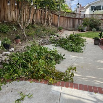 A & S Tree Service - What was left in our backyard - Tree Services Near Me