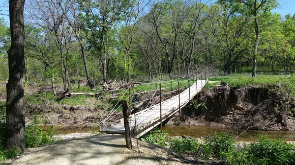 Konza Prairie Biological Station by null