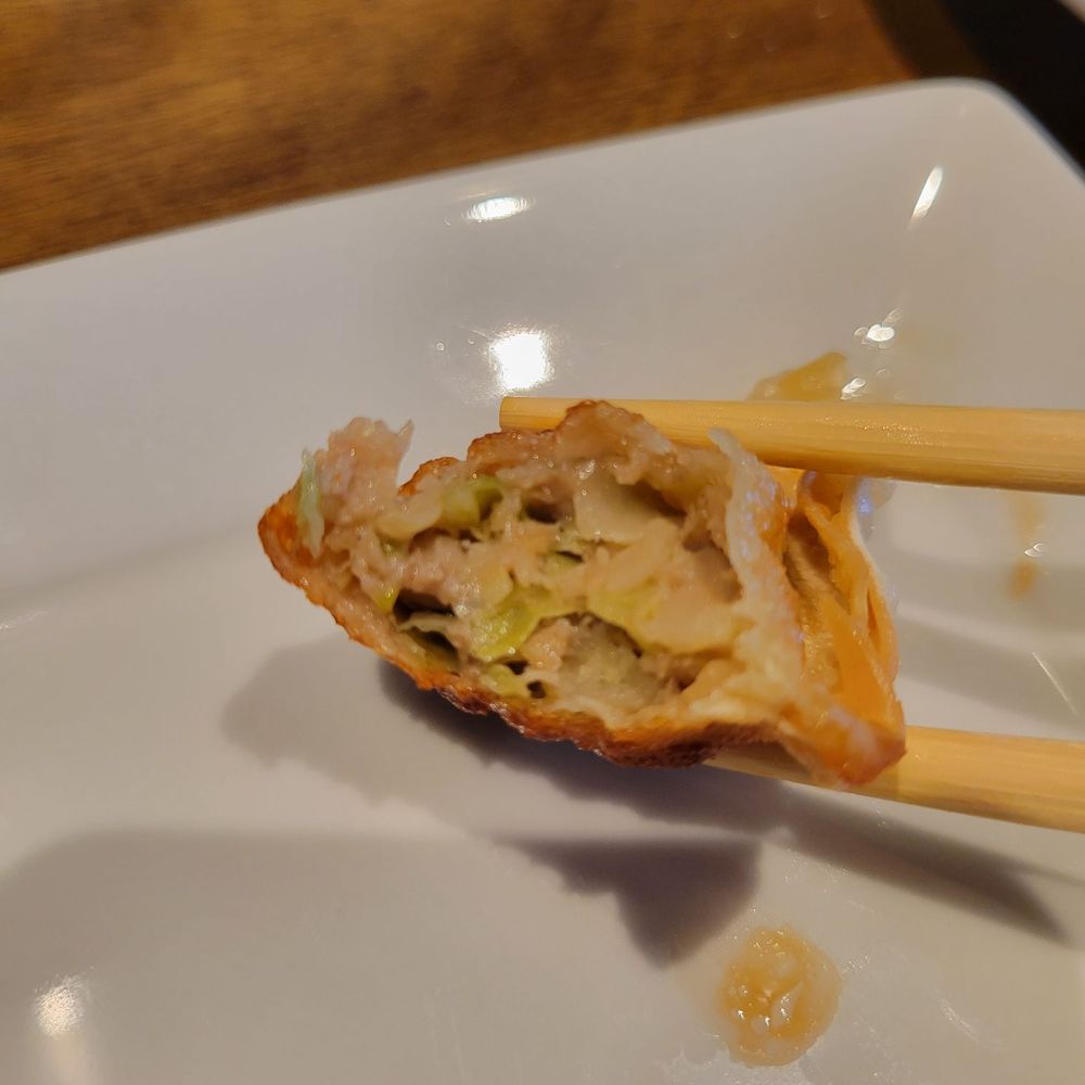 RAKKAN Ramen - Westchase - Spicy beef gyoza - Ramen Near Me - Houston, Texas