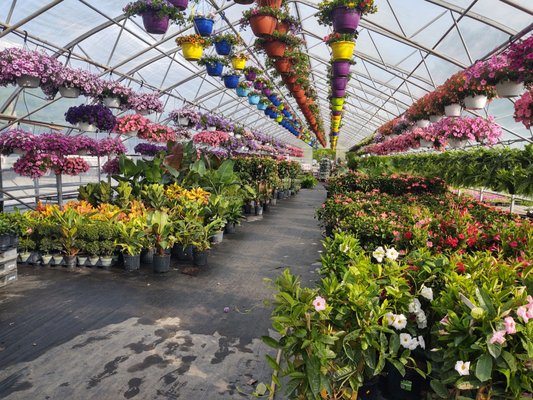 Frank's Produce & Greenhouse by null