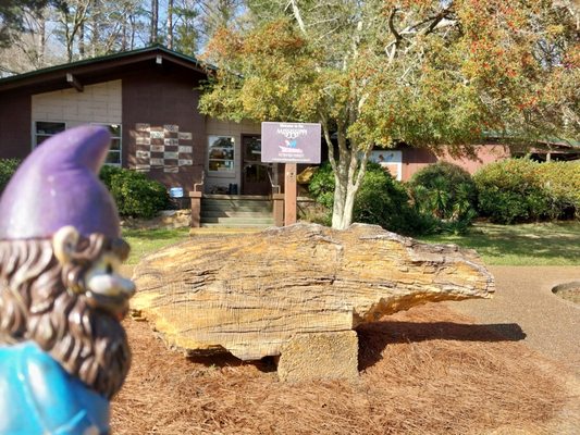 Mississippi Petrified Forest by null