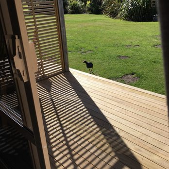 Abel Tasman Lodge - More bird friends - Hotels Near Me - Marahau, TAS