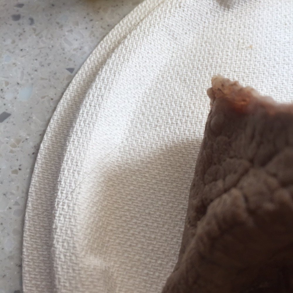 If you look closely, there is a small strand of hair. Found it in my pho.