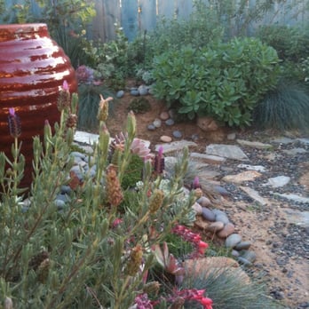 Plantplay Gardens - a shot of the fountain... - Nurseries & Gardening Near Me - Oceanside, California Plantplay Gardens - a shot of the fountain... - Nurseries & Gardening Near Me - Oceanside, California