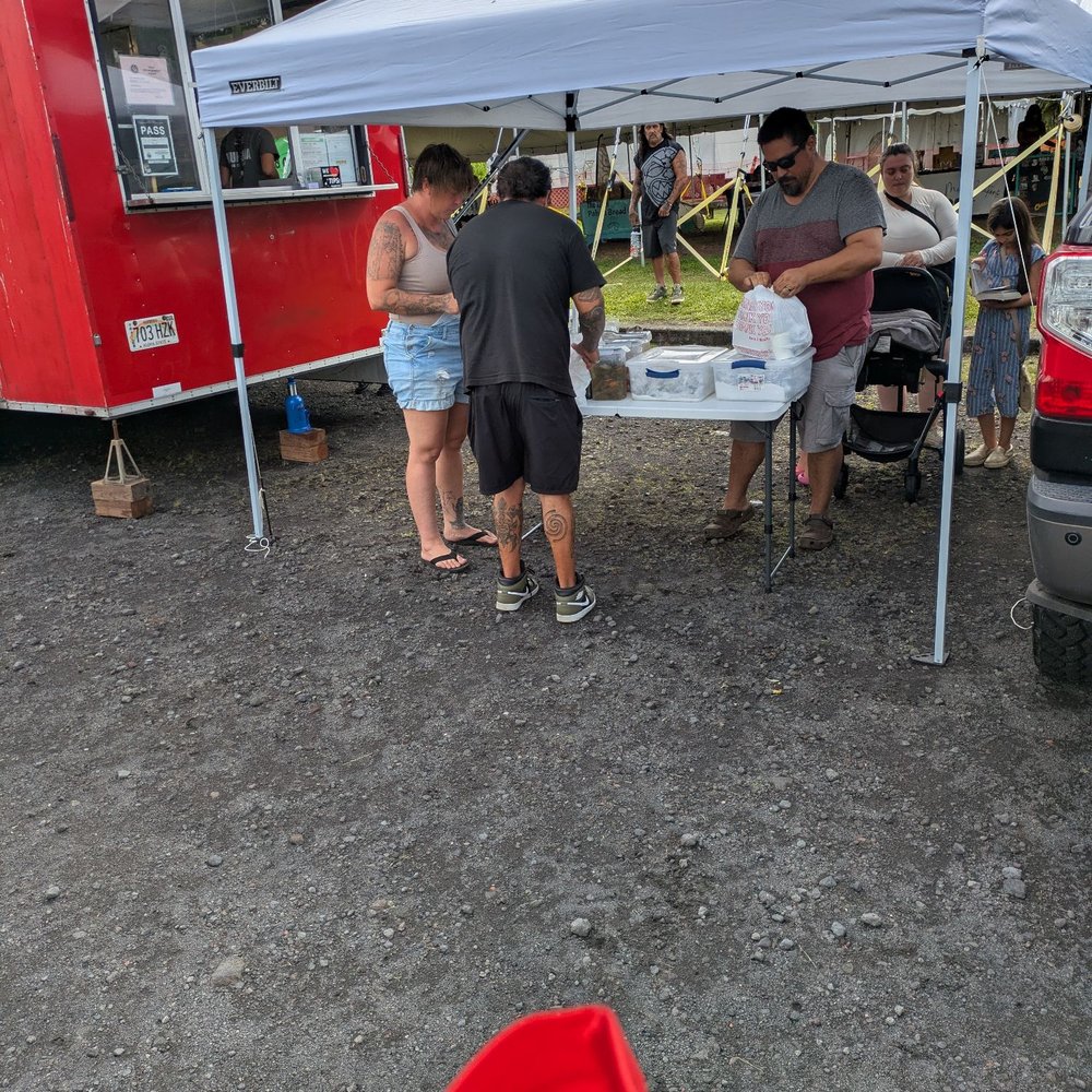 Panchos Tacos - Poncho's in Pahoa every Tuesday!! - Tacos Near Me - Pahoa, Hawaii Panchos Tacos - Poncho's in Pahoa every Tuesday!! - Tacos Near Me - Pahoa, Hawaii