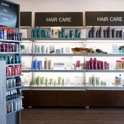 Source Salon