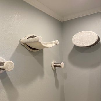 Shaun’s Home Services - Cat climbing system - Handyman Near Me