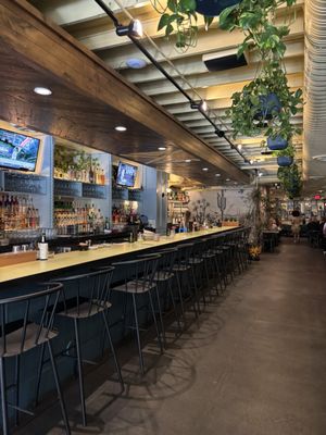 Condesa Phoenix by null