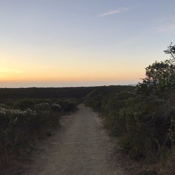 Dipsea - Beautiful! - Hiking Near Me