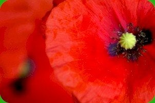 Graven and Associates - grief counselor in Louisville, KY