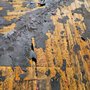 Photo of A-Howell Roofing & Gutters