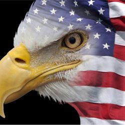 Flag & Sign Place