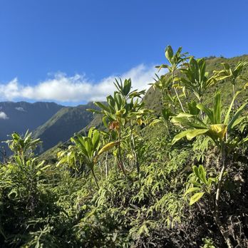 Waihee Ridge Trail - Hiking Near Me - Wailuku, Hawaii Waihee Ridge Trail - Hiking Near Me - Wailuku, Hawaii