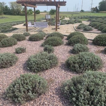 New Life Lavender & Cherry Farm - Attraction Farms Near Me - Baraboo, Wisconsin New Life Lavender & Cherry Farm - Attraction Farms Near Me - Baraboo, Wisconsin