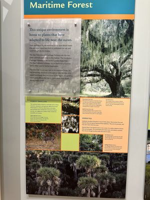 Coastal Discovery Museum by null