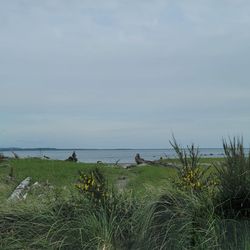 Damon Point State Park - Trail