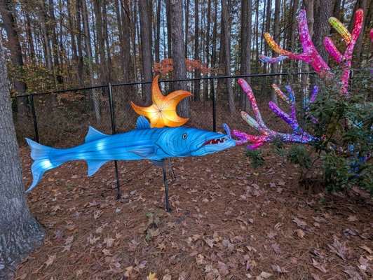 Koka Booth Amphitheatre by null