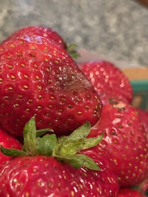 The Original Manassero Farms Market - Irvine by null