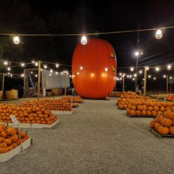 Weaver Tree Farm