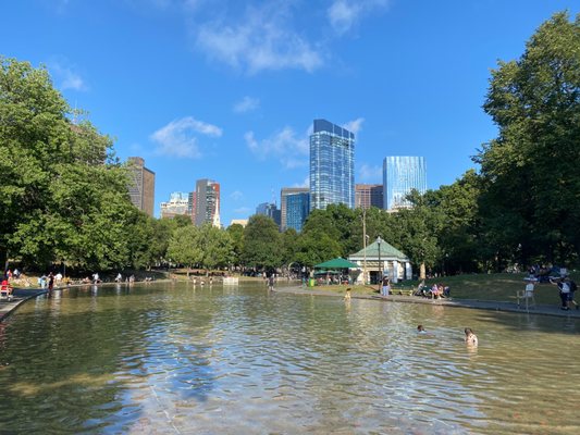 Boston Common Frog Pond by null